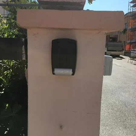 Amarin Pisa